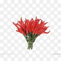 素描手绘图片 辣椒-空若网 素描手绘图片 辣椒-空若网