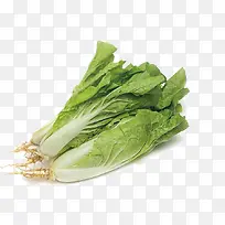 С�ײ�ͼƬ�ز�-������