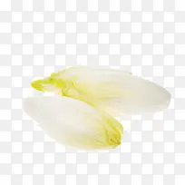 大白菜图片素材-空若网 大白菜图片素材-空若网