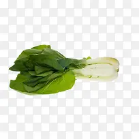 大白菜图片-空若网 大白菜图片-空若网