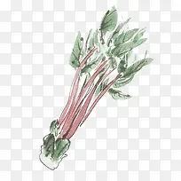 手绘菜苔-空若网 手绘菜苔-空若网