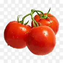 ����������-������