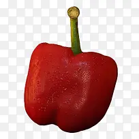 ´øË®ÖéµÄºìÀ±½·-¿ÕÈôÍø ´øË®ÖéµÄºìÀ±½·-¿ÕÈôÍø