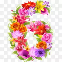 ���ֻ������ּ�����-��-������