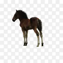 ¿¨Í¨ËزĿ¨Í¨ÂíͼƬ-¿ÕÈôÍø ¿¨Í¨ËزĿ¨Í¨ÂíͼƬ-¿ÕÈôÍø