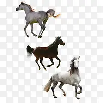 ��ƥ�ز�-������