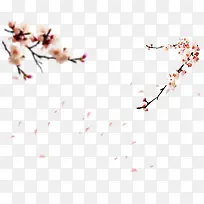 ÷����Ҷ�ز�-������