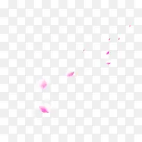 白色花瓣 慢慢飘落-空若网 白色花瓣 慢慢飘落-空若网