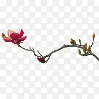 ����֮��-������