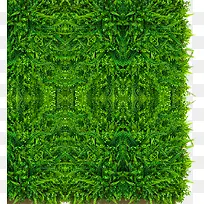 绿色森林清新婚礼时尚-空若网 绿色森林清新婚礼时尚-空若网