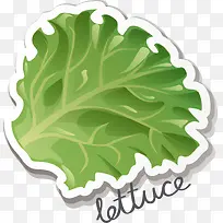 �����߲�����Ҷ-������