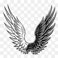 �ڰ׳��-������