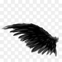 ��ɫ���-������