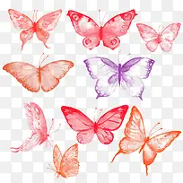 飞舞的蝴蝶-空若网 飞舞的蝴蝶-空若网