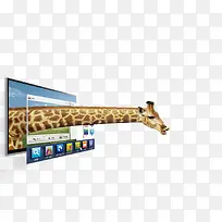 3D电视长颈鹿-空若网 3D电视长颈鹿-空若网