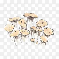 手绘野生菌-空若网 手绘野生菌-空若网