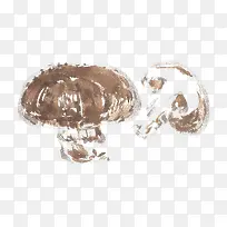 手绘香菇-空若网 手绘香菇-空若网