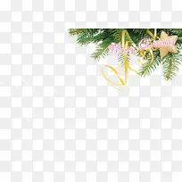 Ê¥µ®½ÚÊ¥µ®Ê÷-¿ÕÈôÍø Ê¥µ®½ÚÊ¥µ®Ê÷-¿ÕÈôÍø