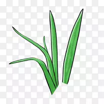 剪贴画-卡通草-空若网 剪贴画-卡通草-空若网