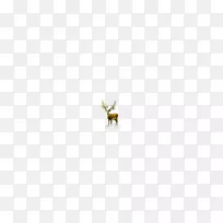 昆虫翼壁纸-角卡通鹿-空若网 昆虫翼壁纸-角卡通鹿-空若网