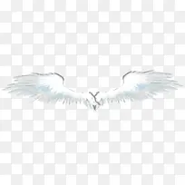 雄鹰展翅-空若网 雄鹰展翅-空若网