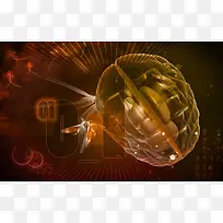 �������ٿƼ�����-������