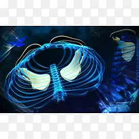 ��ǻ��Ƽ�����-������