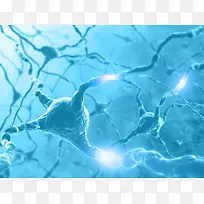 神经系统背景-空若网 神经系统背景-空若网