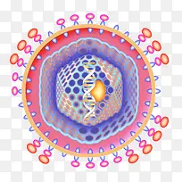 医学细胞彩色示意图-空若网 医学细胞彩色示意图-空若网