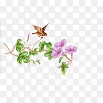 喇叭花素材-空若网 喇叭花素材-空若网