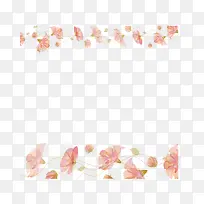 ���Ȼ��߿�-������