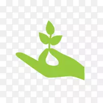 ��Ȼ���������ͼ���ѧ��Ҷ-������