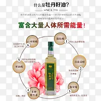 ĵ������-������