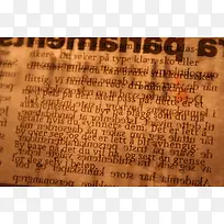 �ɱ�ֽ����-������