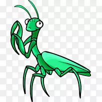 ����ŷ����������-����-������