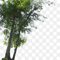 ����ǰ����-������