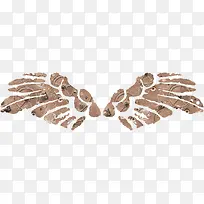 羽毛 翅膀-空若网 羽毛 翅膀-空若网