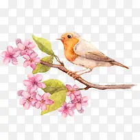 ��   ��֦  ��˿ȸ-������