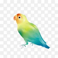 ��˿ȸ-������