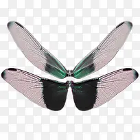 ��ëͼƬ��ɫ-������