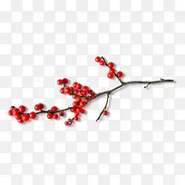 ��� ��֦-������