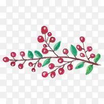 红果和叶子-空若网 红果和叶子-空若网