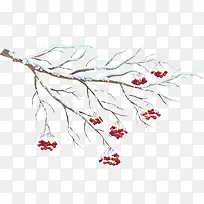 ѩ�� ��֦ С���png�ز�-������