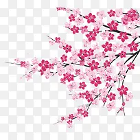 ӣ����֦-������