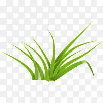 绿色小草装饰-空若网 绿色小草装饰-空若网