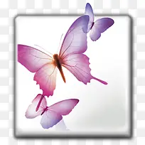 adobeid土坯CS .大-空若网 adobeid土坯CS .大-空若网