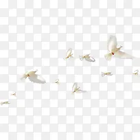 ��Ӱ���պ�����շ�����-������