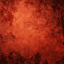 ��ľ���ű���-������