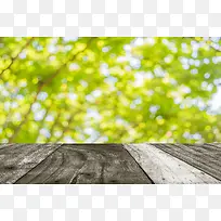 ÏÄÈÕÊ÷ÁÖÐ黯±³¾°-¿ÕÈôÍø ÏÄÈÕÊ÷ÁÖÐ黯±³¾°-¿ÕÈôÍø