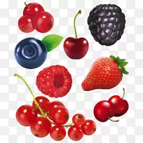 ��³�١��ϡ���˹��ˮ����ݮ-��ͨˮ���ղ�-������